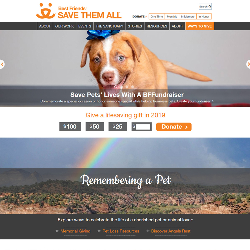 Atlanta Pet Rescue